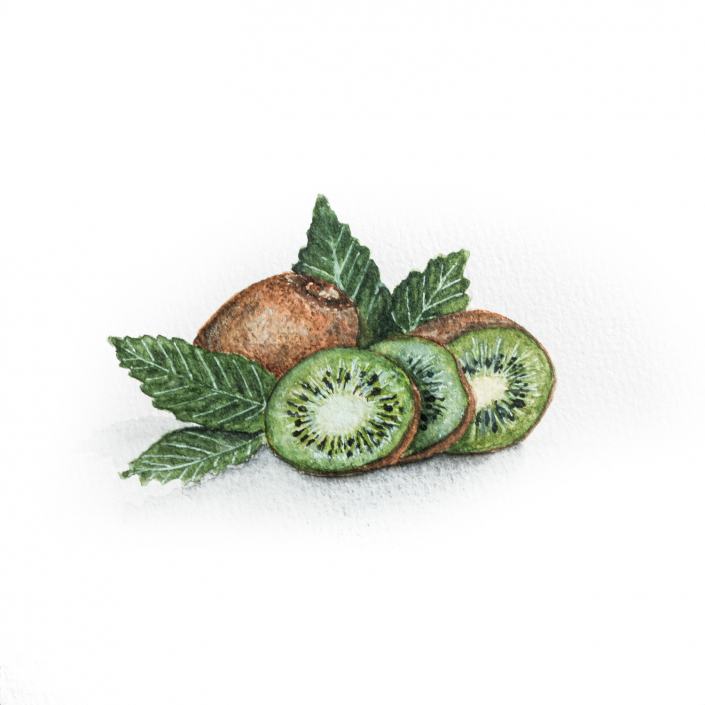 Kiwi mit Aquarell gemalt