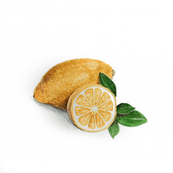 Zitrone mit Aquarell gemalt