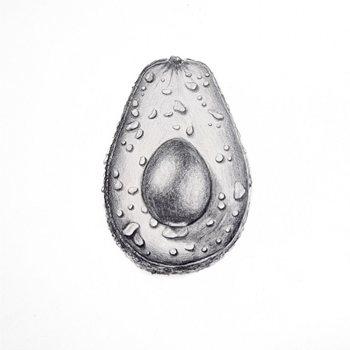 Eine Avocado mit Bleistift gezeichnet