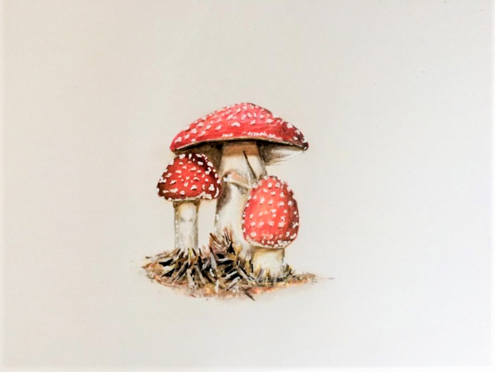 Fliegenpilze mit Aquarell gemalt Fliegenpilze mit Aquarell gemalt