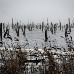 Heringsdorf und Swinemünde 2024