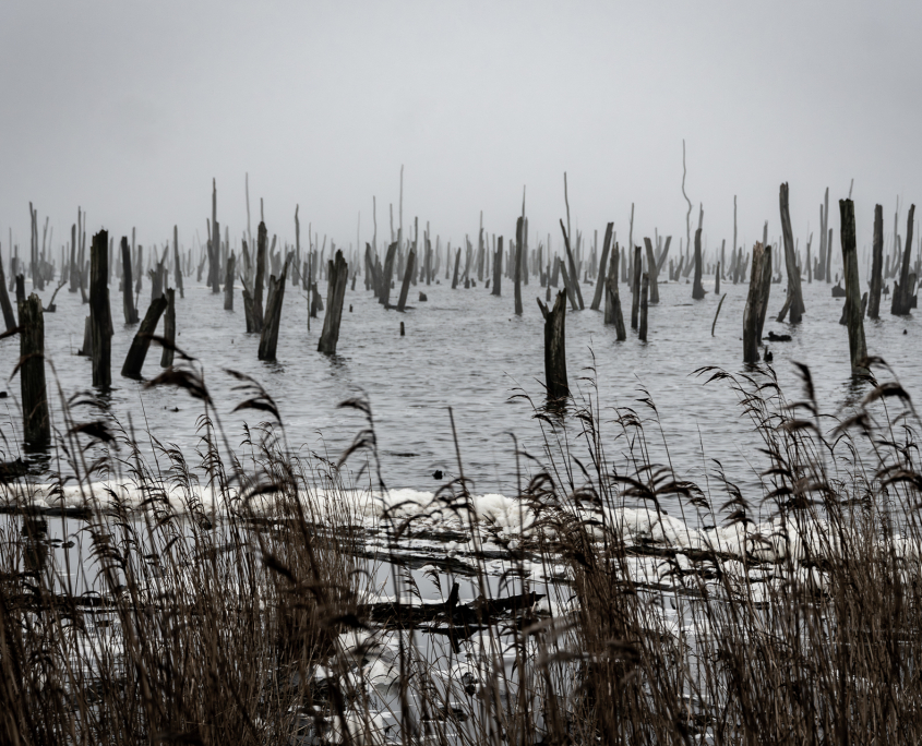 Heringsdorf und Swinemünde 2024