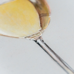 Weißweinglas mit Pastellkreide und Buntstiften