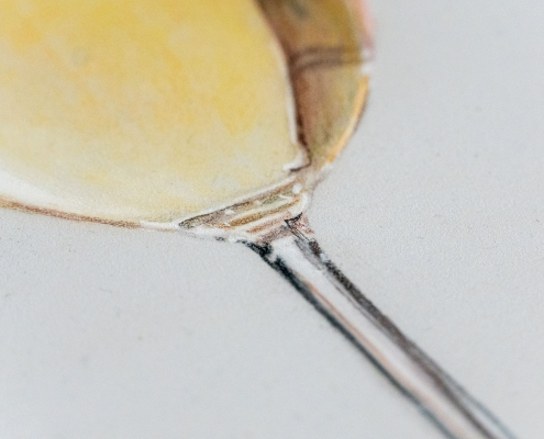 Weißweinglas mit Pastellkreide und Buntstiften