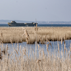 An der Ostseeküste im März 2024