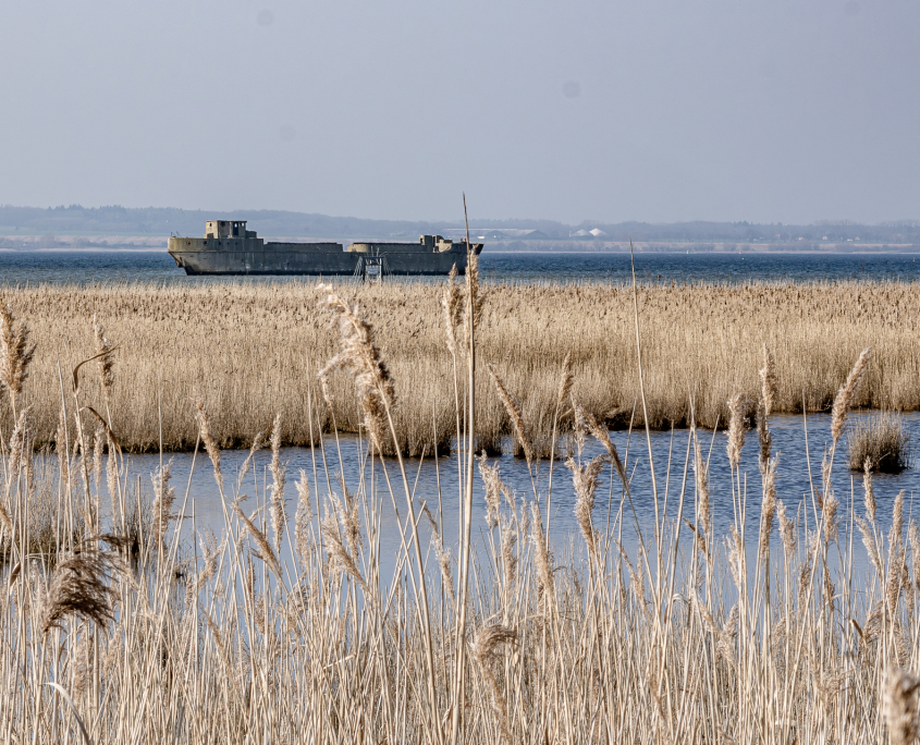 An der Ostseeküste im März 2024