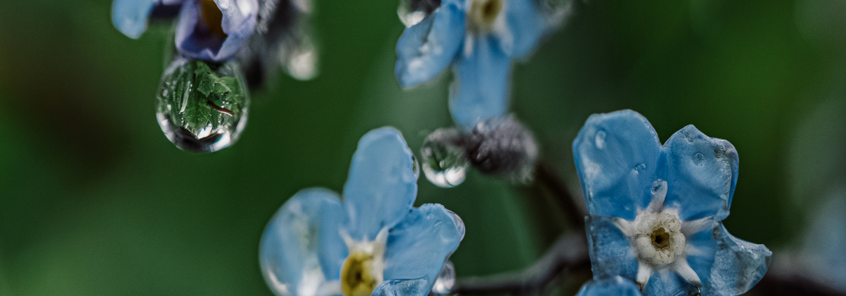 Eskalation mit Makro-Objektiv