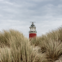 Insel Texel