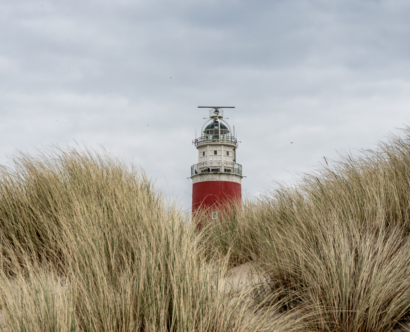 Insel Texel