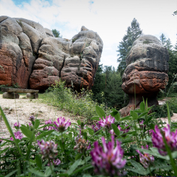Kelchsteine im Zittauer Gebirge