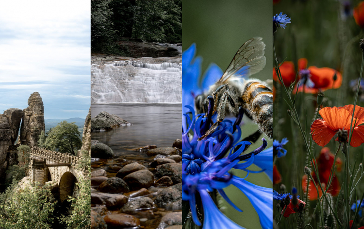 Fotogalerie Fotogalerie