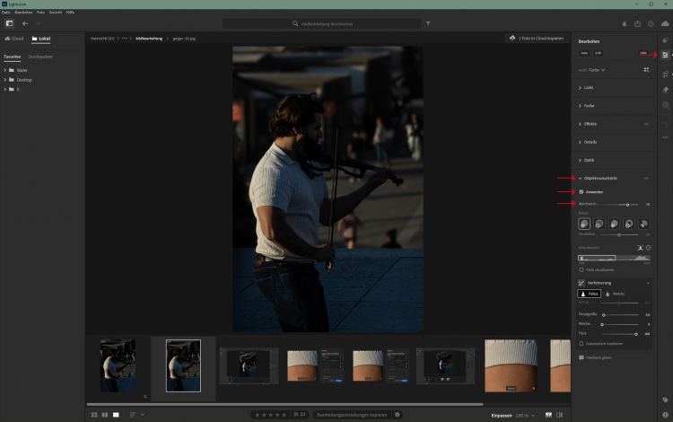 Bildbearbeitung in Lightroom - Objektivunschärfe