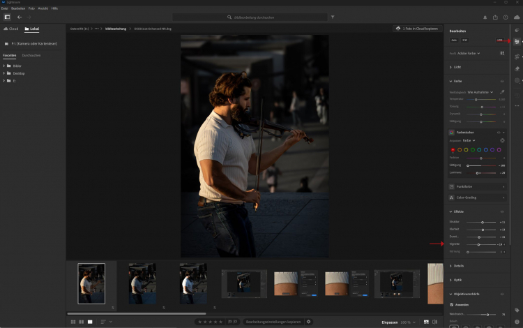 Bildbearbeitung in Lightroom - Vignette