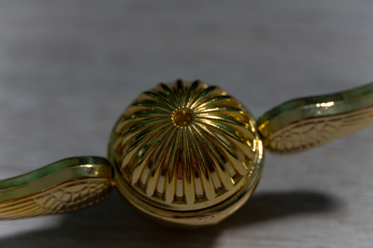 Zwischenringe statt Makroobjektiv