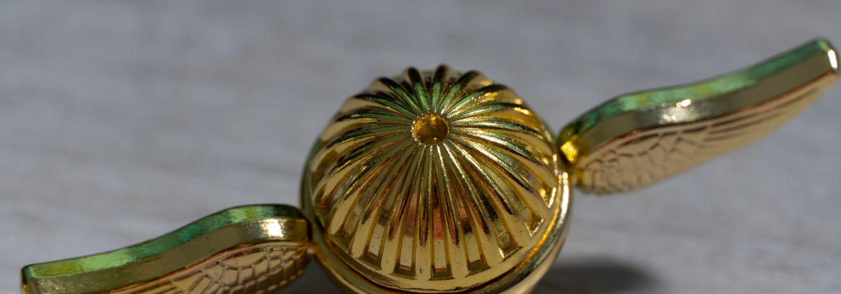 Zwischenringe statt Makroobjektiv